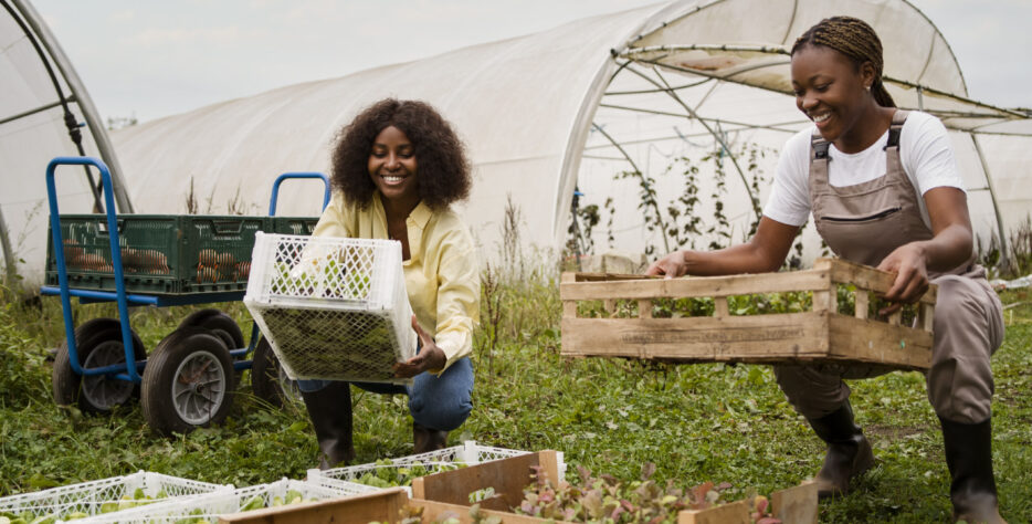 Provides support for the development of enabling climate-adapted infrastructure for agro-industrial hubs