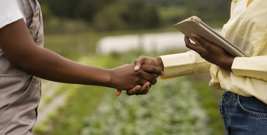 Supervision consultants will be engaged to produce supporting agro-industrial zone policies & institutional developments