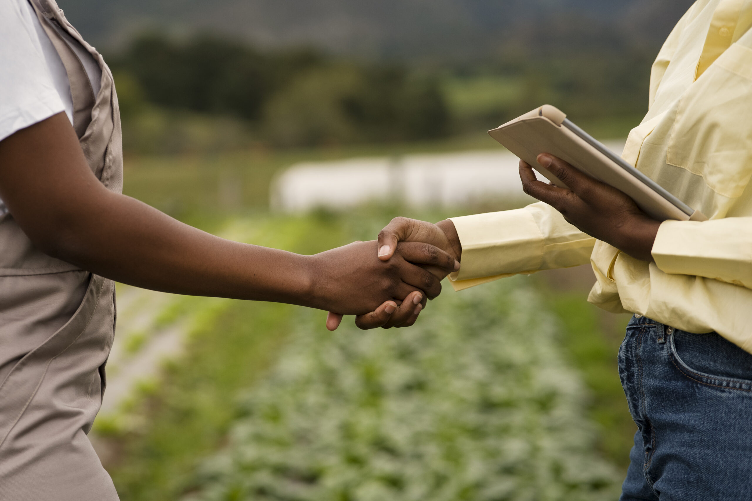 Supervision consultants will be engaged to produce supporting agro-industrial zone policies & institutional developments